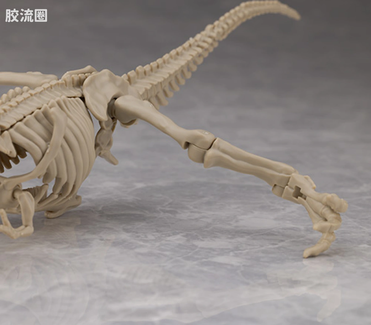 万代综合拼装模型系列 Plannosaurus <侏罗纪世界 重生> 霸王龙 - 图片